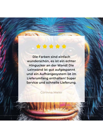 MuchoWow Leinwand bilder Bunte Schimpanse (BxH)