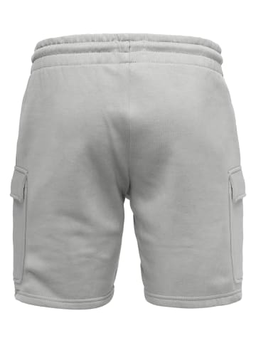 REPUBLIX Cargoshorts GAEL in Hellgrau