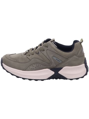 Gabor Lowtop Sneaker Gabor Lowtop Sneaker in oliv (tundra)