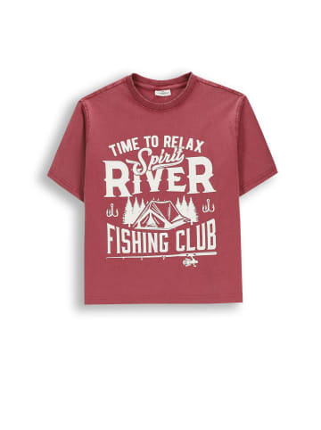 Coccodrillo Baumwoll-T-Shirt mit kurzen Ärmeln in dunkelrot