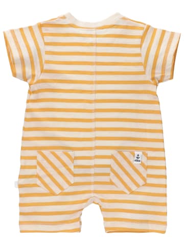 ebbe Shorty Sean in Yellow stripe