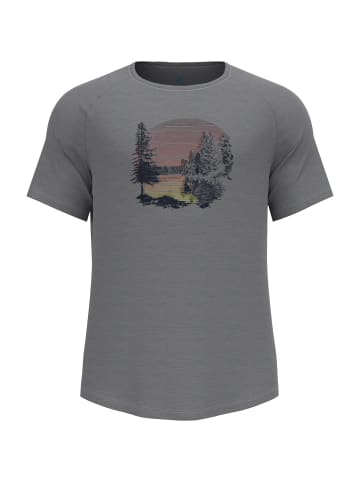 Odlo T-Shirt CONCORD FOREST PRI in Grau