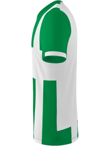 erima Kinder Trikot "Siena 3.0 Trikot" in Grün