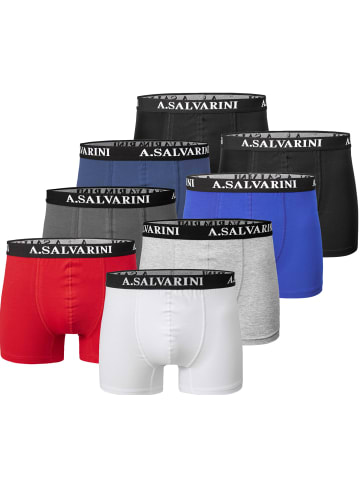 Alessandro Salvarini Boxershorts A. Salvarini Herren Boxershorts in Mehrfarbig