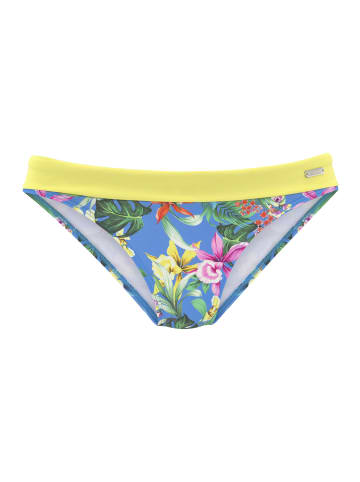 Venice Beach Bikini-Hose in bedruckt-blau