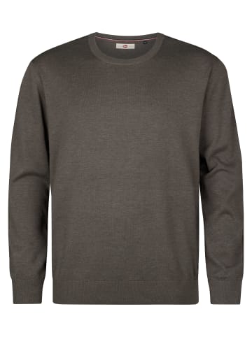 Petrol Industries Feinstrickpullover mit Rundhalsausschnitt ironbend in Grün