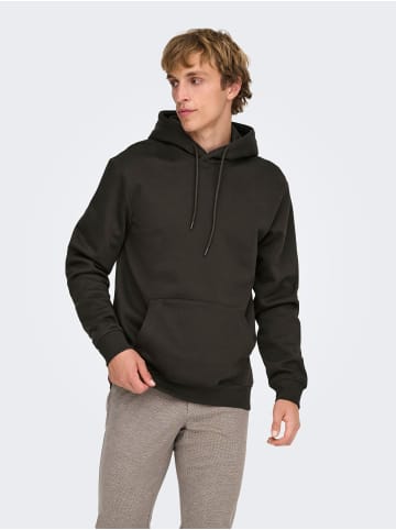 ONLY & SONS Kapuzenpullover in Mulch 1