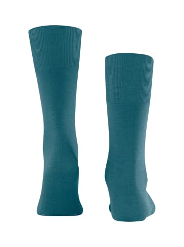 Falke Socken Airport in Peacock