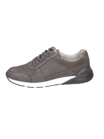 Gabor Sneaker in grey