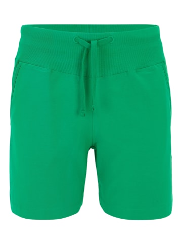 Venice Beach Kurze Hose VB Morla in island green