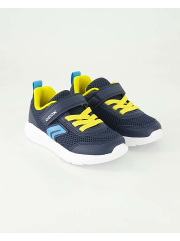 Geox Schnürschuhe in Blau