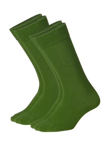 DillySocks Socken D-Compose 2er Set in green
