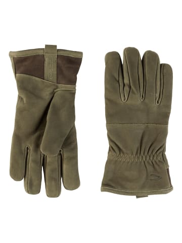 Camel Active Lederhandschuhe in Khaki