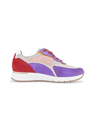 Gabor Comfort Sneaker low in multicolour