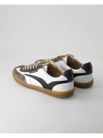 Floris van Bommel Sneaker low in Braun