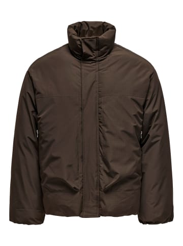 ONLY & SONS Daunenjacke in Coffee Bean
