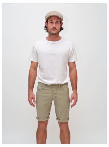 miracle of denim Five-Pocket-Shorts Thomas in Shilf Green