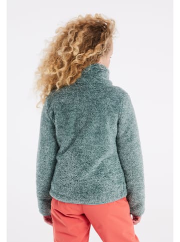 Protest " RIRI JR in Crocodile Green