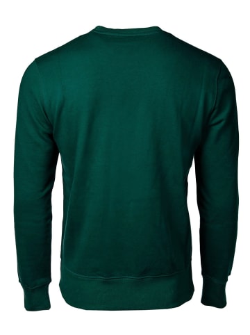 Champion Sweatshirt in Grün