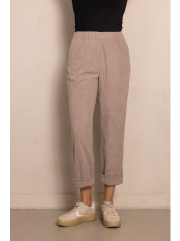 ZHRILL Hosen ZHPIA TAUPE in TAUPE