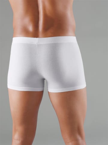 WITT WEIDEN Pants in 3x weiß + 2x marine