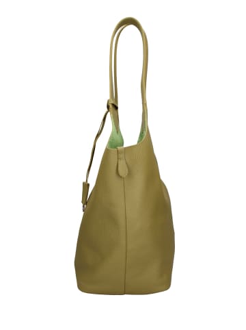 Chiara Ferretti Handtasche in GREEN