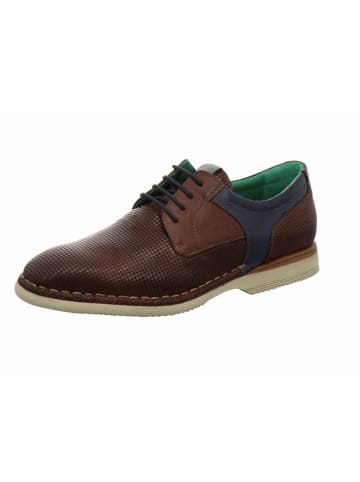 Galizio Torresi Schnürschuh in braun