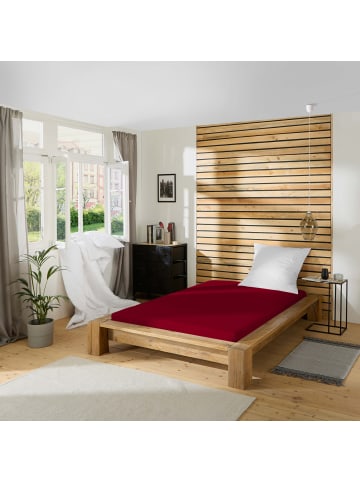 REDBEST Single-Jersey Spannbettlaken Pittsburgh in bordeaux