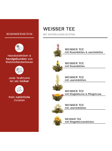 Creano 2er Set 12er Holzpräsentboxen ErblühTee Grüner Tee "Fruity Flavor" + Weißer Tee 