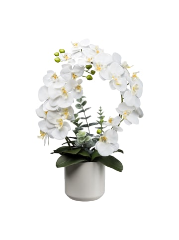 Creativ green Deko-Orchidee im Keramiktopf