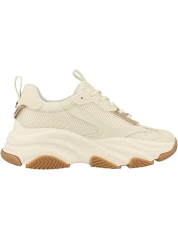Steve Madden Sneaker low Possession-E in creme