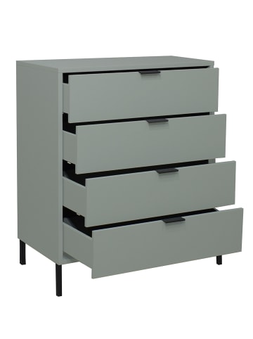 58 aufm Kessel KOMMODE Erna 81x45x102 Pinie Green matt Lack
