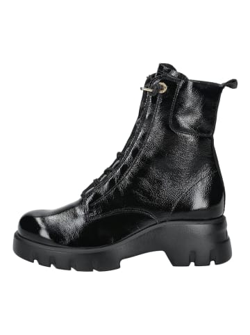 Paul Green Stiefelette in Schwarz Lack