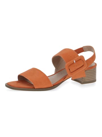 Caprice Sandalen in Orange