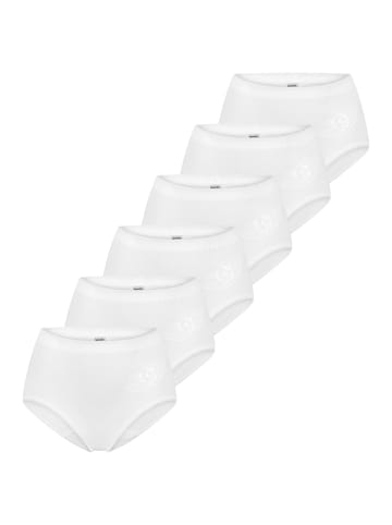 SPEIDEL Taillen Slip Basic in Weiß