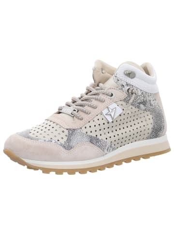 Cetti Sneaker High in beige