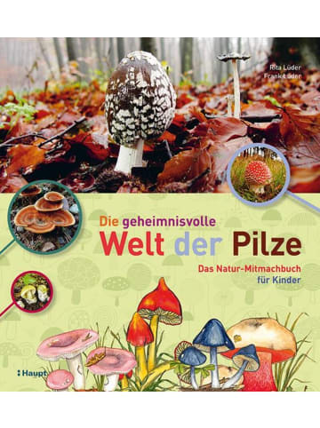 Haupt Die geheimnisvolle Welt der Pilze | Das Natur-Mitmachbuch für Kinder