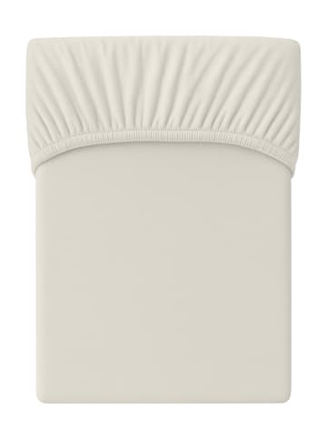 Cats Collection Spannbetttuch Feinbiber in creme
