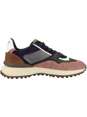 Floris van Bommel Sneaker low Noppi 29.11 XT in multicolor