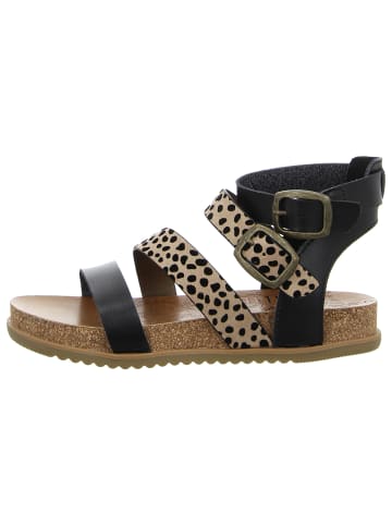 Blowfish Sandalen in schwarz
