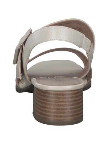 Caprice Plateau-Sandaletten in CREAM PERLATO