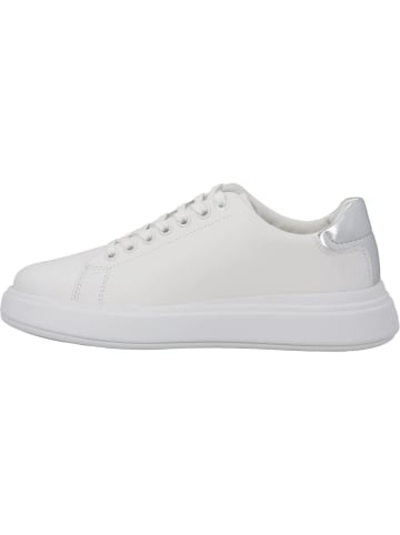 Calvin Klein Schnürschuhe in white/silver