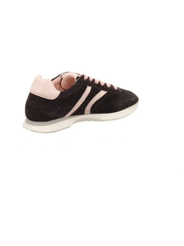 Kennel & Schmenger Sneaker in blau