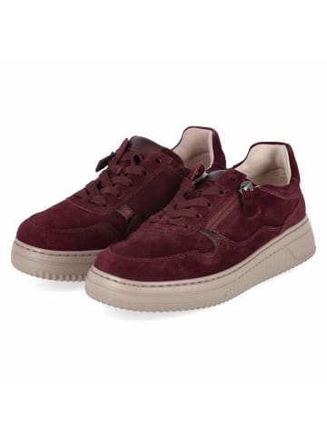 Gabor Low Sneaker in rot