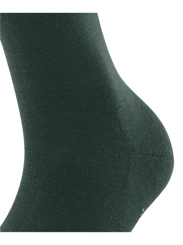 Falke Socken Softmerino in Pine grove
