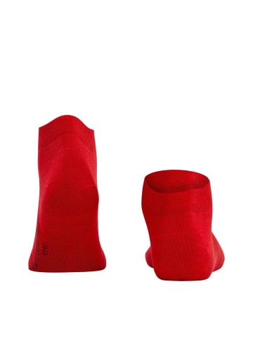 Falke Socken 1er Pack in Rot