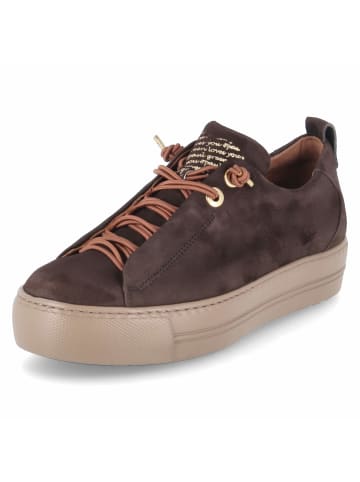 Paul Green Schnürhalbschuh in braun