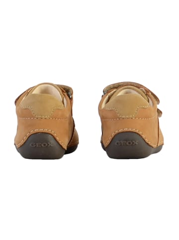 Geox Ledersneakers Kind B Tutim Braun