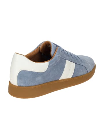 Geox Sneaker Low in Blau