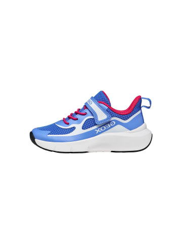Geox J Pro Ran Schnür-Sneaker für Kinder Blau